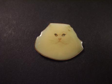 Witte kat, poes